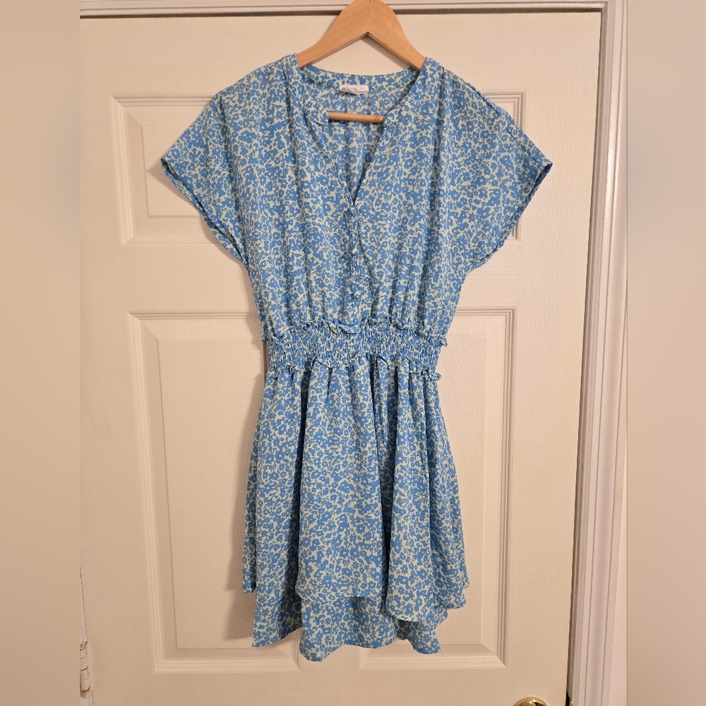 Sienna Sky Blue Floral Mini Dress Size Small